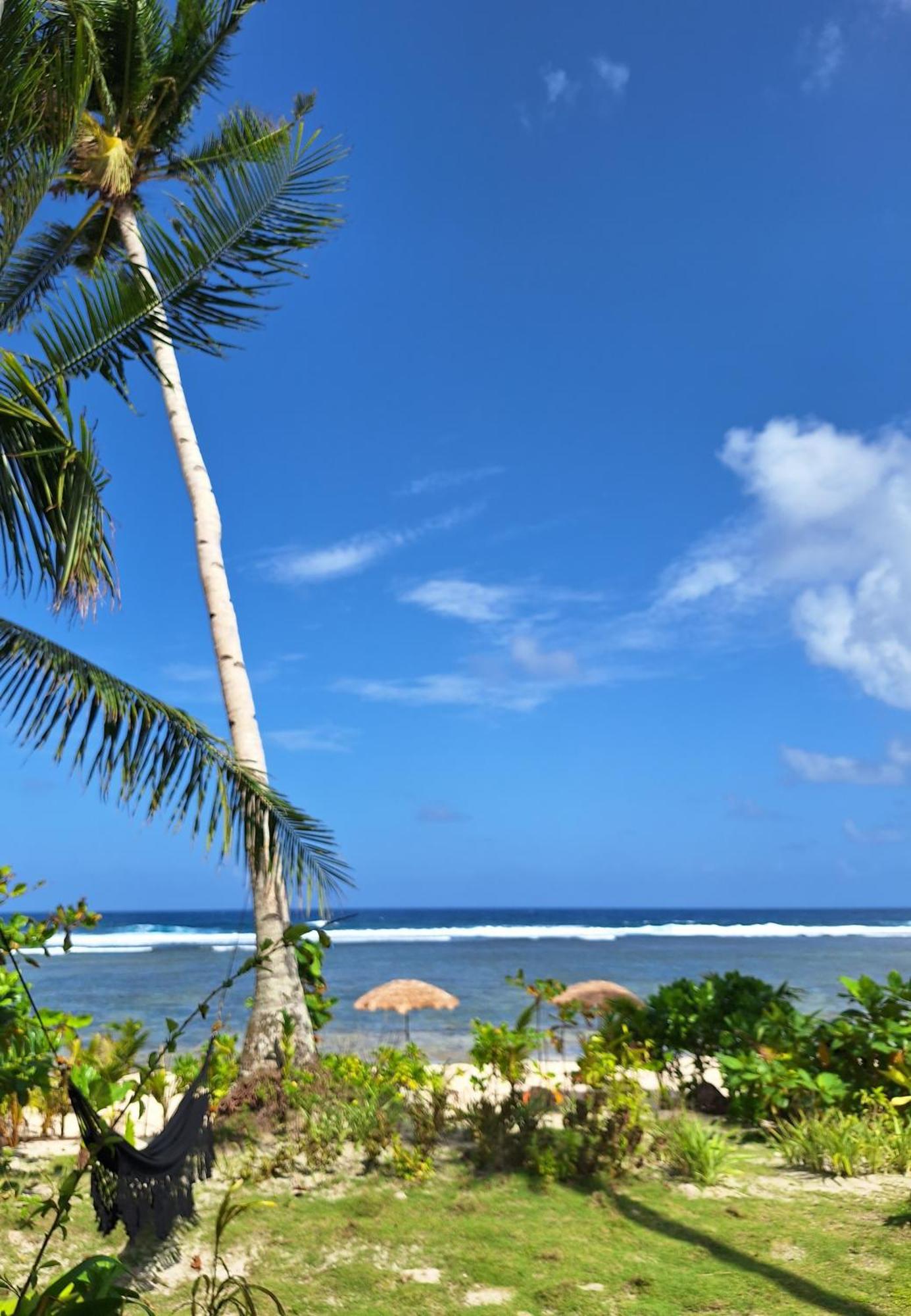 Bamboo Surf Beach San Isidro  Eksteriør billede