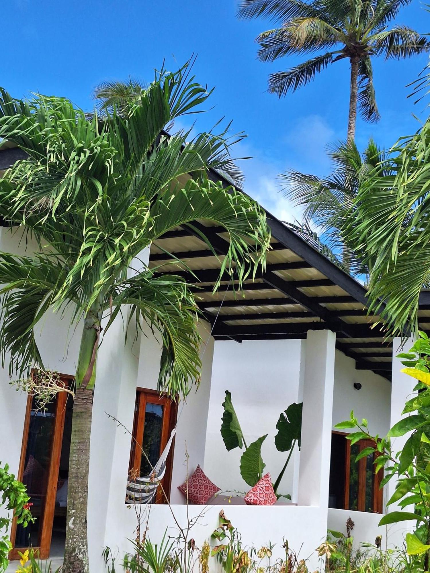 Bamboo Surf Beach San Isidro  Eksteriør billede
